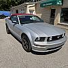 SILVER 2006 Ford MUSTANG