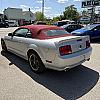 SILVER 2006 Ford MUSTANG