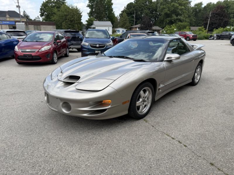 GREY 2002 Pontiac TRANS AM