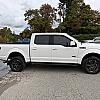 WHITE 2019 Ford F150 LARIET 5.0L at Pilkey's
