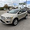GOLD 2019 Ford ESCAPE 4WD at Pilkey's