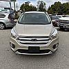 GOLD 2019 Ford ESCAPE 4WD at Pilkey's