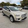 GOLD 2019 Ford ESCAPE 4WD at Pilkey's