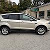 GOLD 2019 Ford ESCAPE 4WD at Pilkey's