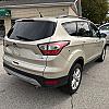 GOLD 2019 Ford ESCAPE 4WD at Pilkey's