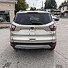 GOLD 2019 Ford ESCAPE 4WD at Pilkey's