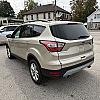 GOLD 2019 Ford ESCAPE 4WD at Pilkey's