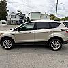 GOLD 2019 Ford ESCAPE 4WD at Pilkey's