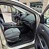 GOLD 2019 Ford ESCAPE 4WD at Pilkey's