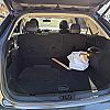 GREEN 2015 Ford EDGE TITANIUM at Pilkey's